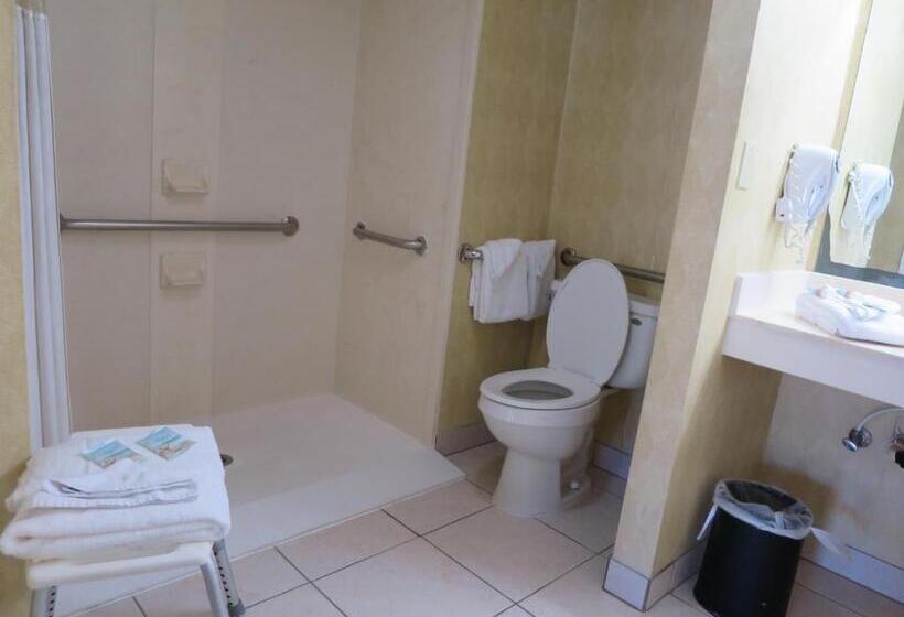 适合残疾人士使用的带超级大床的标准间, Executive Inn Panama City Beach