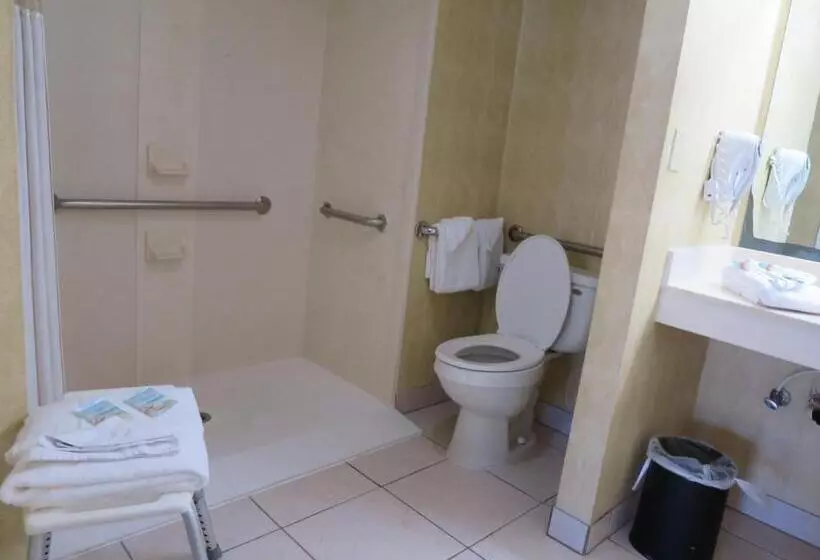 اتاق استاندارد با تخت بزرگ برای معلولان, Executive Inn  Panama City Beach