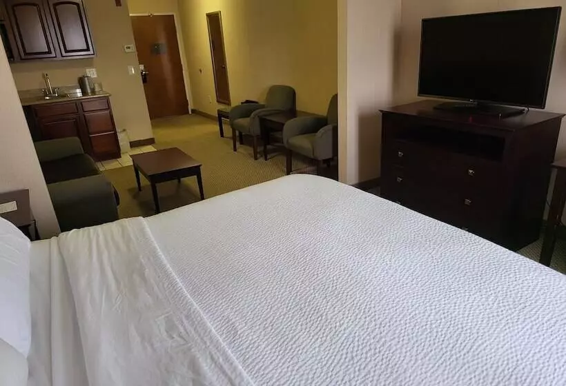 スイート, Holiday Inn Express Hotel & Suites Tipp City, An Ihg