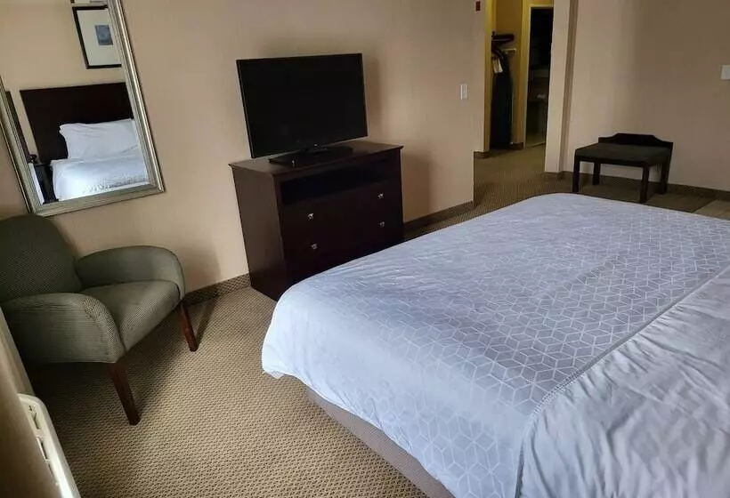 スイート, Holiday Inn Express Hotel & Suites Tipp City, An Ihg
