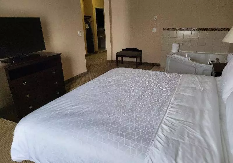 キングサイズベッドのスイートルーム, Holiday Inn Express Hotel & Suites Tipp City, An Ihg