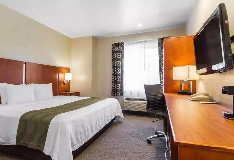 キングサイズベッドのスタンダードルーム, Quality Inn San Jose Airport Silicon Valley