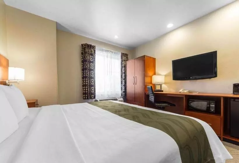 キングサイズベッドのスタンダードルーム, Quality Inn San Jose Airport Silicon Valley