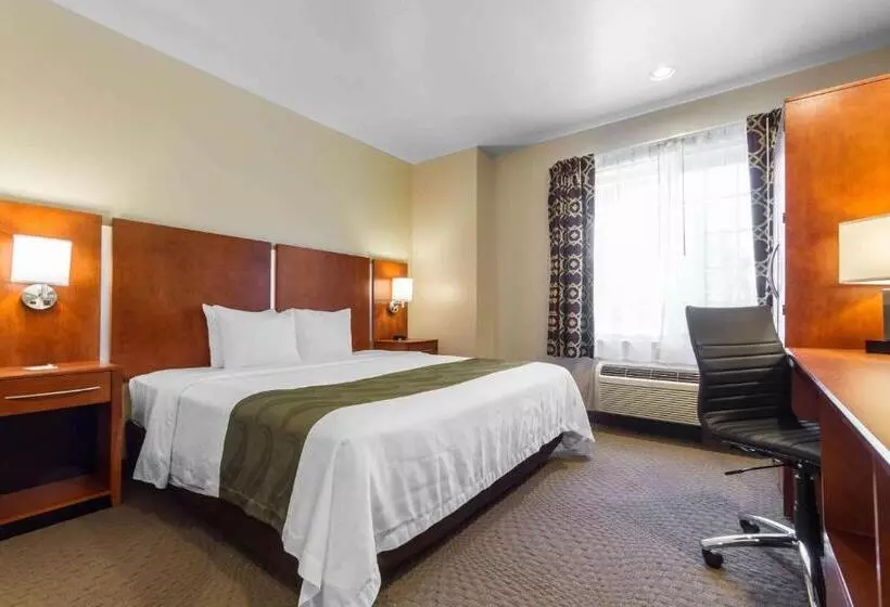 キングサイズベッドのスタンダードルーム, Quality Inn San Jose Airport Silicon Valley