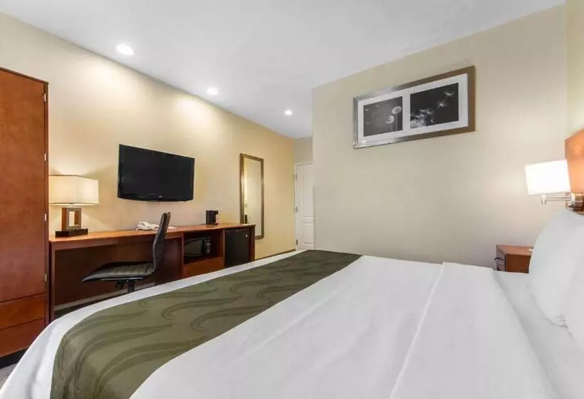 キングサイズベッドのスタンダードルーム, Quality Inn San Jose Airport Silicon Valley