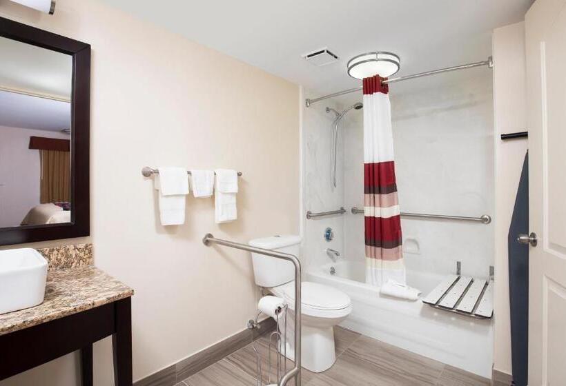 장애인용 디럭스룸, Red Roof Inn Plus+ Birmingham East – Irondale/airport