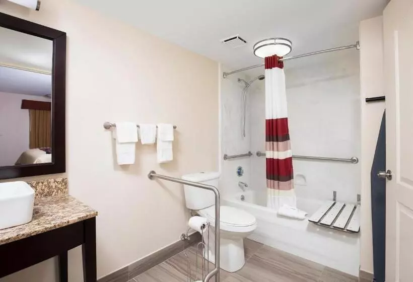 障害者適応デラックスルーム, Red Roof Inn Plus+ Birmingham East – Irondale/airport
