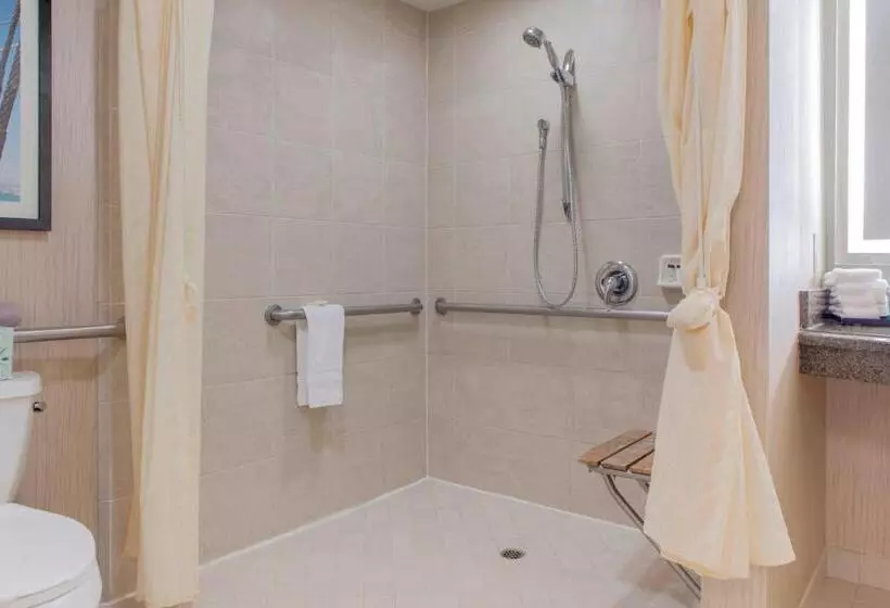 اتاق استاندارد با تخت بزرگ, Sheraton Sonoma Wine Country Petaluma