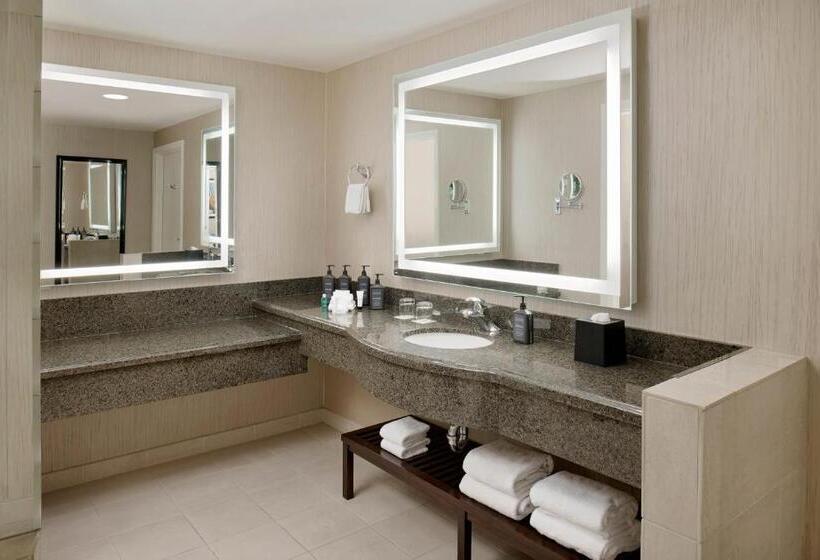 جناح إدارى سرير كينج, Sheraton Sonoma Wine Country Petaluma