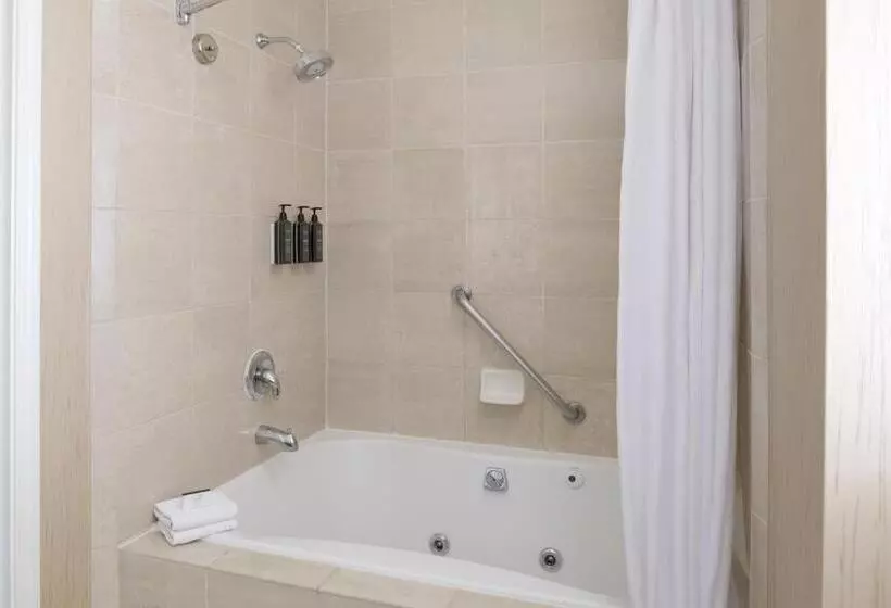 اتاق سوپریور با تخت بزرگ, Sheraton Sonoma Wine Country Petaluma