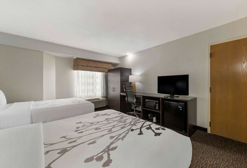 带2个双人床的标准工作室, Sleep Inn Northlake