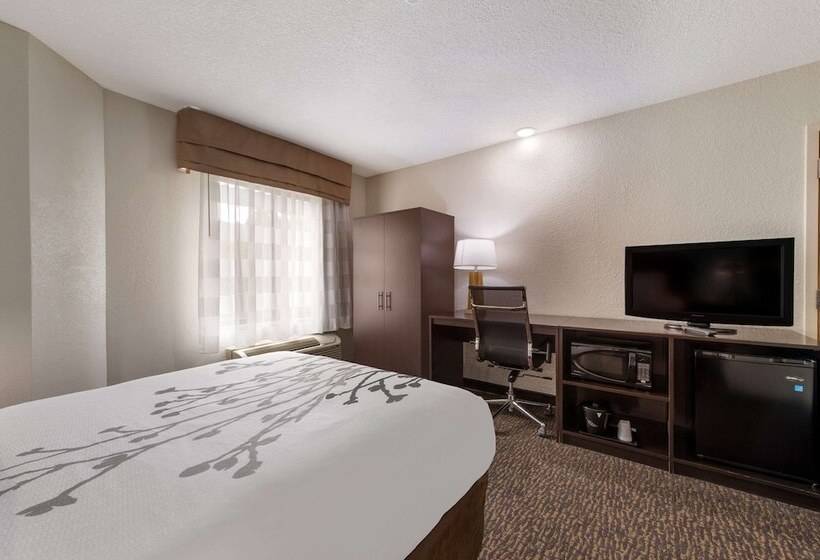 适合残疾人使用的标准间, Sleep Inn Northlake