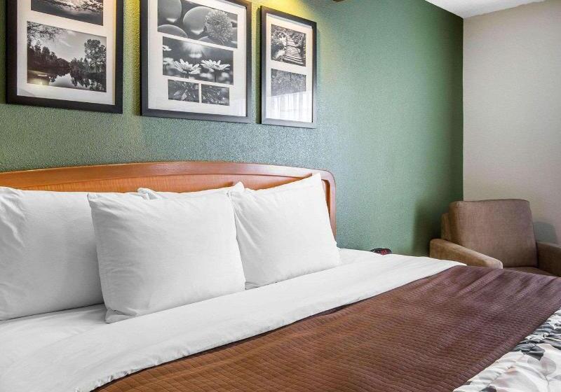 带大床的标准间, Clarion Pointe Albemarle