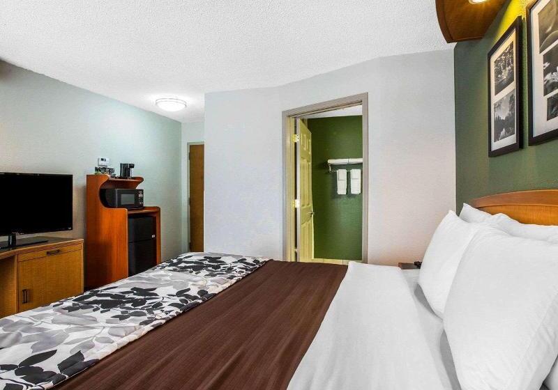 带大床的标准间, Clarion Pointe Albemarle
