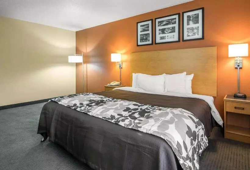 Standard-huone King-vuode, Sleep Inn & Suites Sheboygan I 43