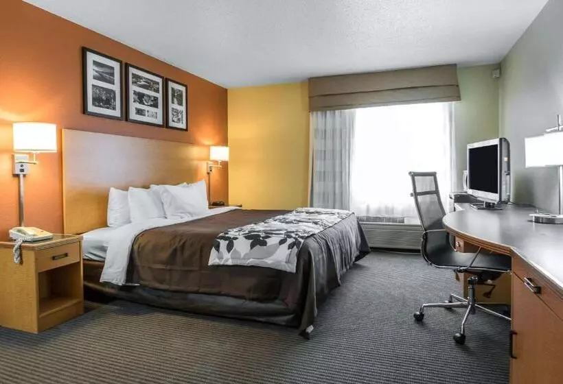 Standard-huone King-vuode, Sleep Inn & Suites Sheboygan I 43