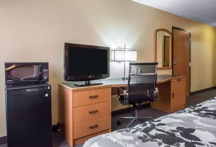Standard-huone King-vuode, Sleep Inn & Suites Sheboygan I 43