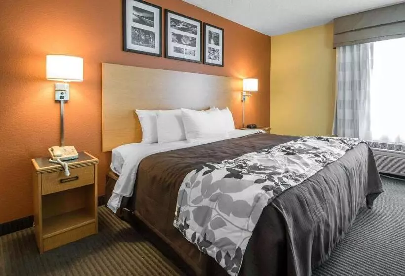 Sviitti King-vuode, Sleep Inn & Suites Sheboygan I 43