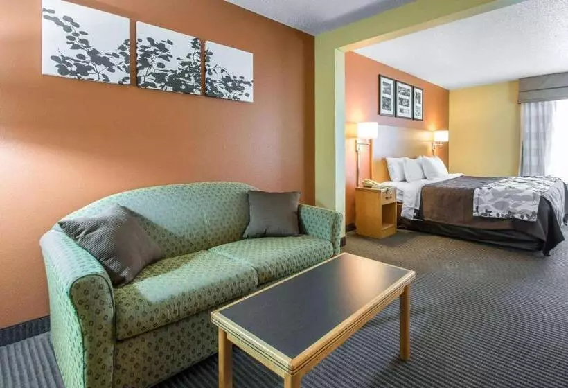 Sviitti King-vuode, Sleep Inn & Suites Sheboygan I 43