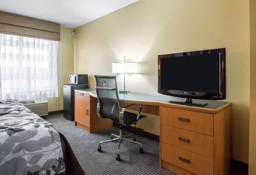 Sviitti King-vuode, Sleep Inn & Suites Sheboygan I 43