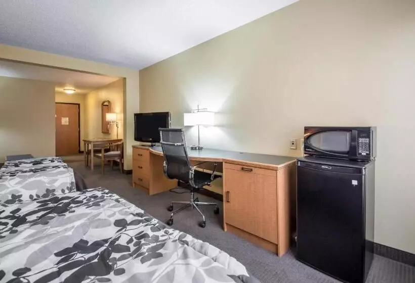 Sviitti, Sleep Inn & Suites Sheboygan I 43