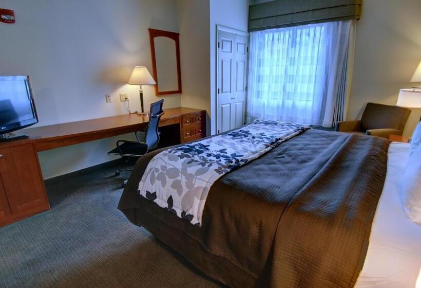 Номер Стандарт Кровать Кинг Адаптированный для Инвалидов, Sleep Inn & Suites