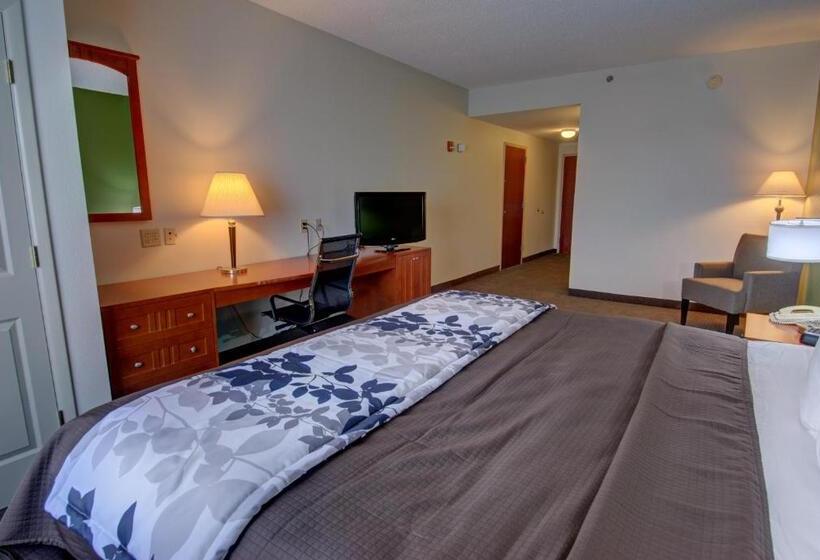 Номер Стандарт Кровать Кинг Адаптированный для Инвалидов, Sleep Inn & Suites