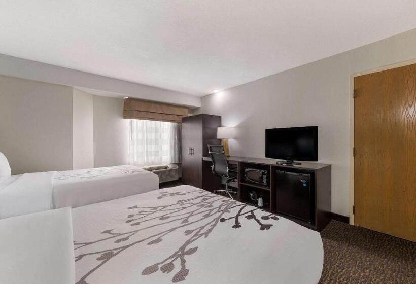 带2个双人床的标准工作室, Sleep Inn Northlake