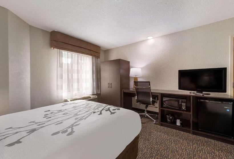 适合残疾人使用的标准间, Sleep Inn Northlake
