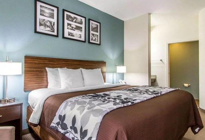 キングサイズベッドのスタンダードルーム, Sleep Inn Scott/lafayette West