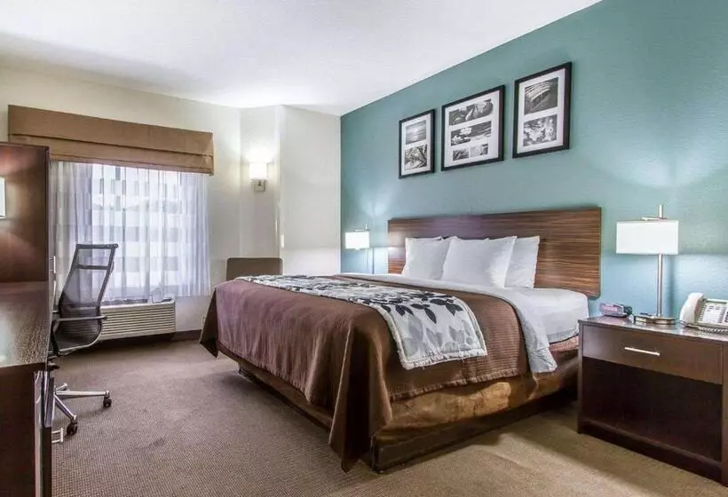 キングサイズベッドのスタンダードルーム, Sleep Inn Scott/lafayette West