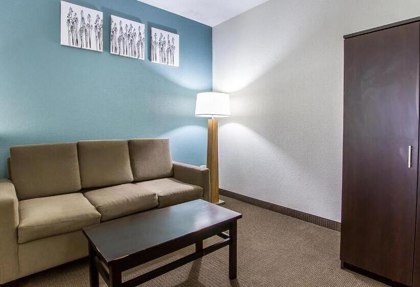 스위트, Sleep Inn Scott/lafayette West