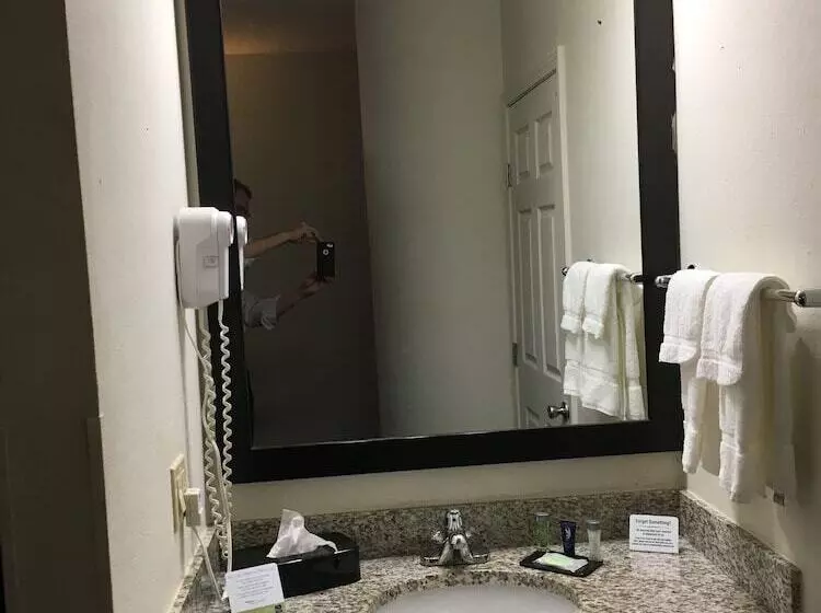 ２ダブルベッドのスタンダードルーム, Sleep Inn Scott/lafayette West