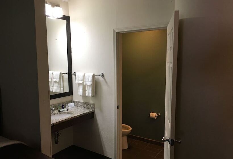 חדר סטנדרט שתי מיטות זוגיות, Sleep Inn Scott/lafayette West