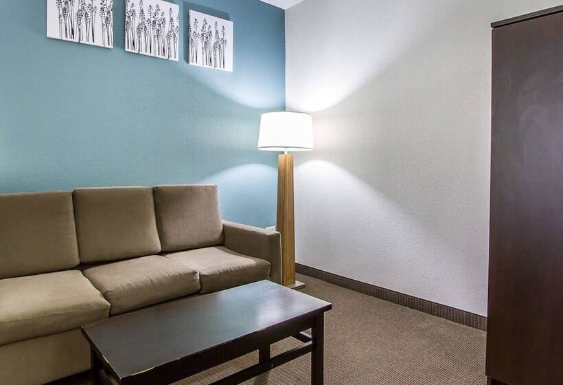 סוויטה, Sleep Inn Scott/lafayette West