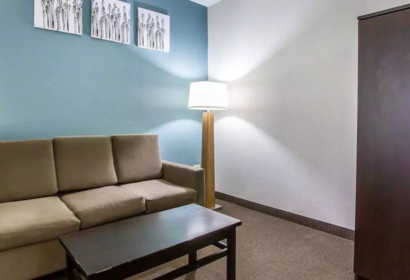 スイート, Sleep Inn Scott/lafayette West