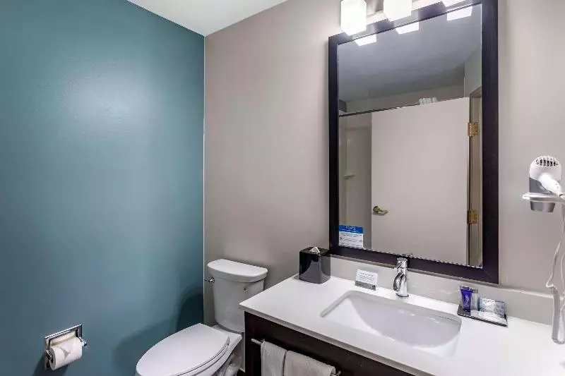 キングサイズベッドのスタンダードルーム, Sleep Inn & Suites Lebanon  Nashville Area