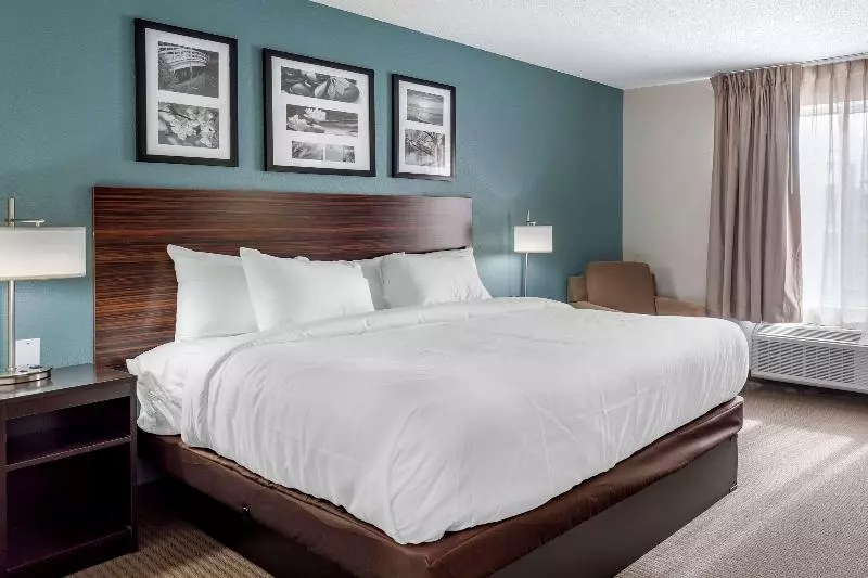 キングサイズベッドのスタンダードルーム, Sleep Inn & Suites Lebanon  Nashville Area