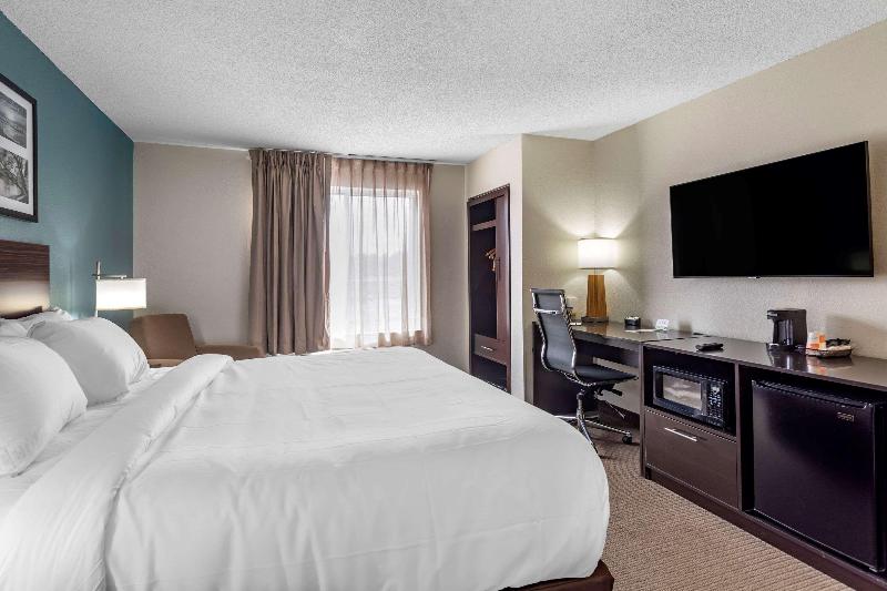 스탠다드 룸 킹사이즈 침대, Sleep Inn & Suites Lebanon  Nashville Area