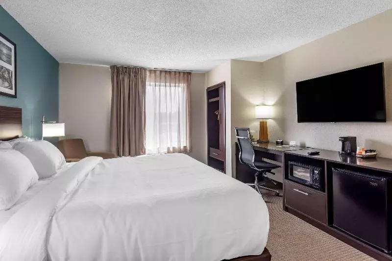 キングサイズベッドのスタンダードルーム, Sleep Inn & Suites Lebanon  Nashville Area