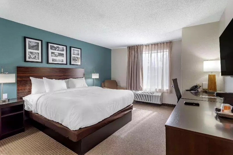 キングサイズベッドのスタンダードルーム, Sleep Inn & Suites Lebanon  Nashville Area