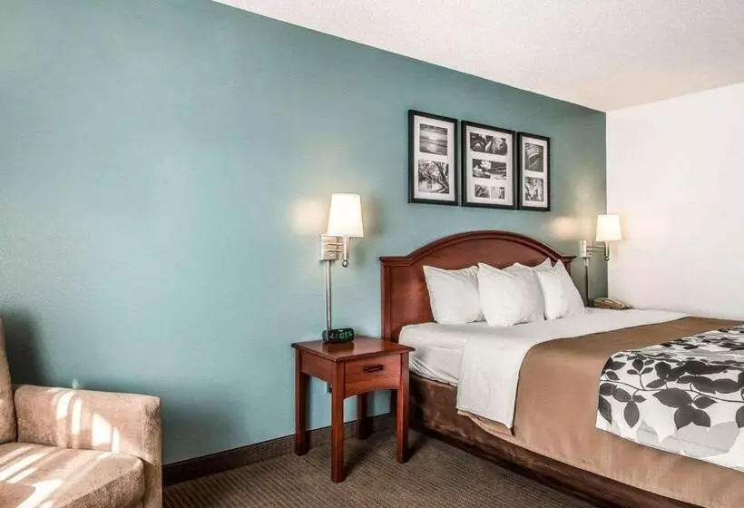 キングサイズベッドのスタンダードルーム, Sleep Inn & Suites Mount Vernon
