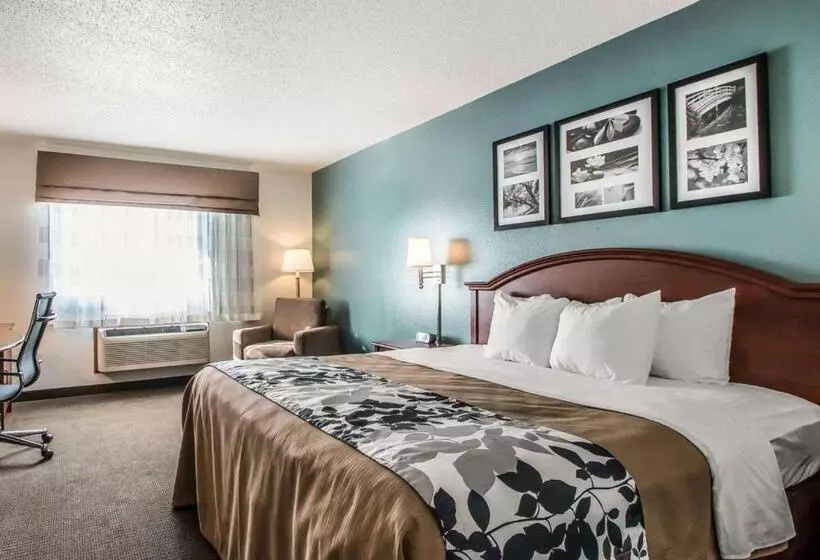 キングサイズベッドのスタンダードルーム, Sleep Inn & Suites Mount Vernon