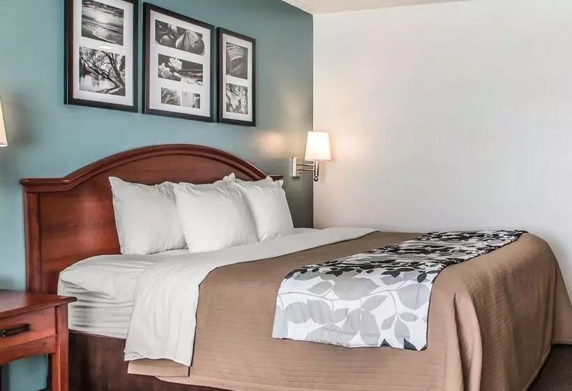スタンダードルーム, Sleep Inn & Suites Mount Vernon
