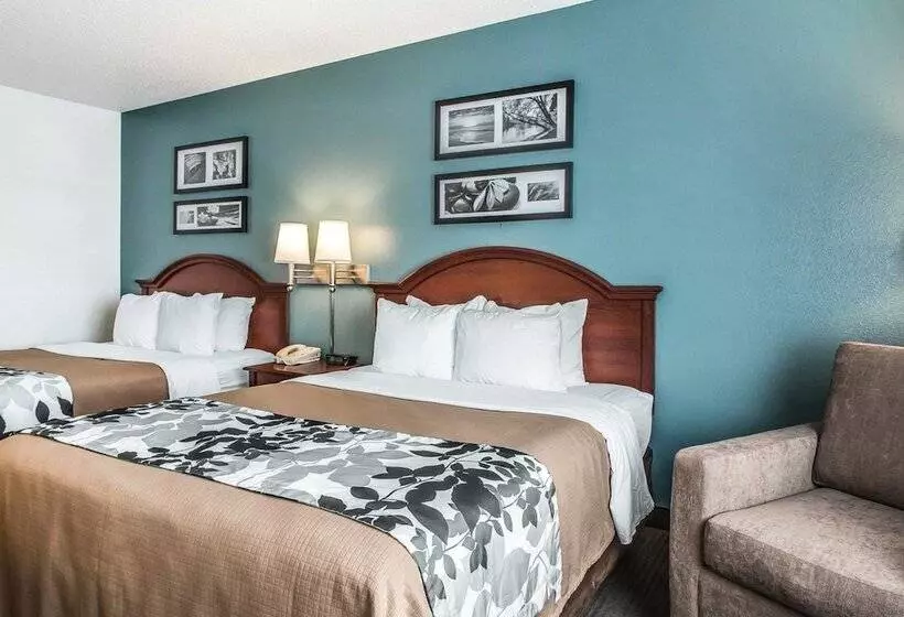 スタンダードルーム, Sleep Inn & Suites Mount Vernon