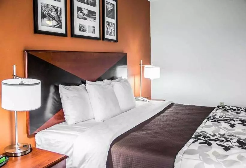 اتاق استاندارد با تخت بزرگ, Sleep Inn & Suites Oklahoma City North
