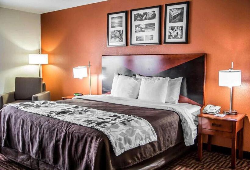 חדר סטנדרט עם מיטת קינג, Sleep Inn & Suites Oklahoma City North