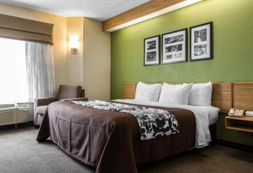Стандартный Номер Кровать Кинг, Surestay By Best Western Summerville Flowertown