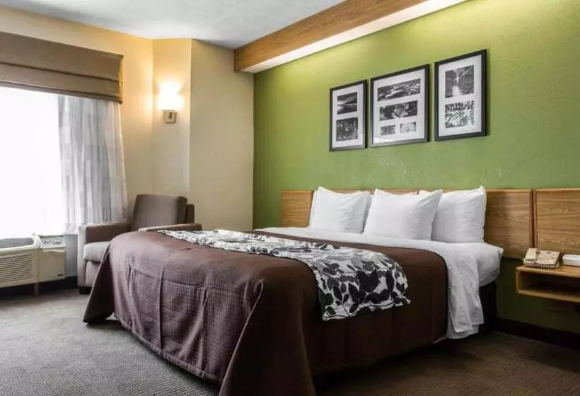 キングサイズベッドのスタンダードルーム, Surestay By Best Western Summerville Flowertown