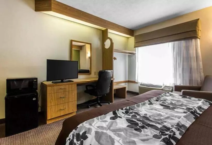 キングサイズベッドのスタンダードルーム, Surestay By Best Western Summerville Flowertown